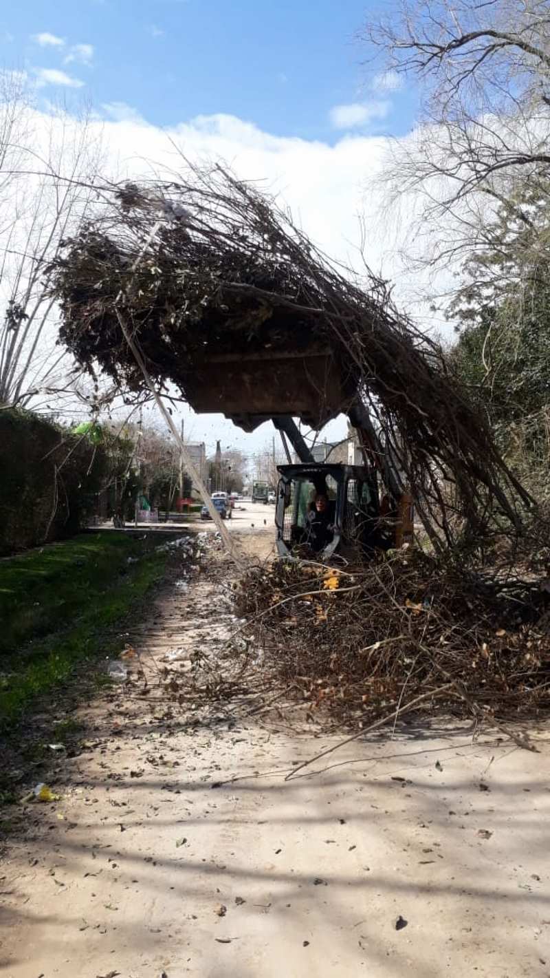 Avanza Marcos Paz Limpia 2019