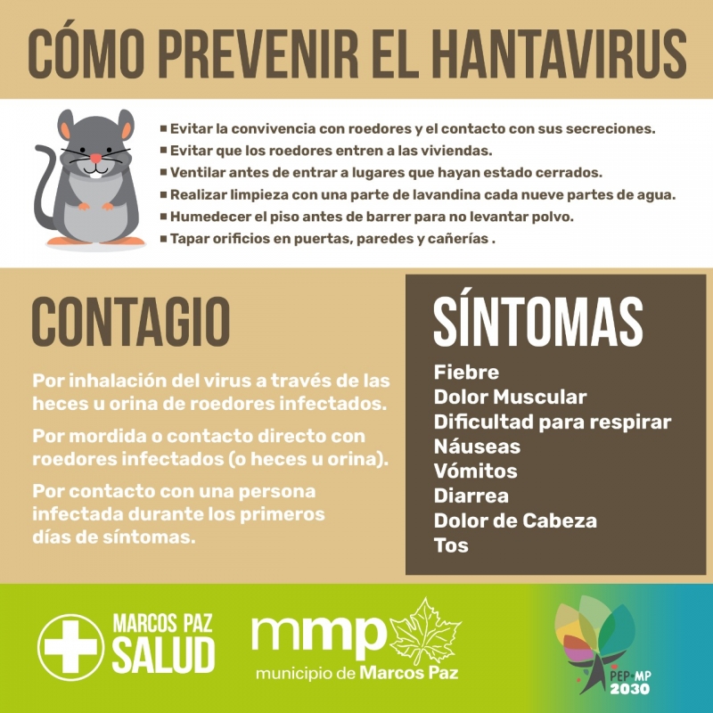 Cómo prevenir el hantavirus