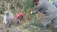 Trabajos en el barrio San Eduardo