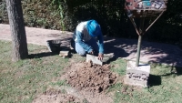 Ampliación de la red de agua potable en Cuatro Esquinas