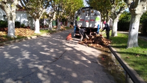 Limpieza de hojas en distintas zonas urbanas.