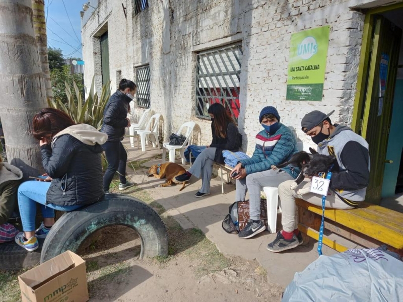 Operativo de castración