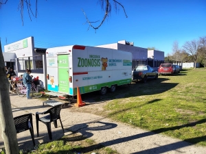 Nuevo operativo de castraciones