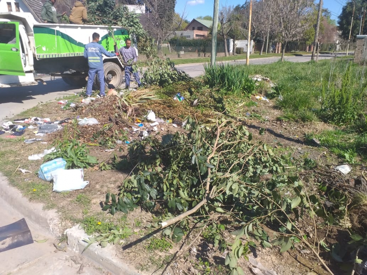 Avanza Marcos Paz Limpia 2019