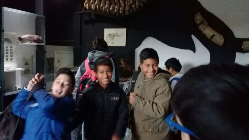 Las escuelas visitan el Museo de Ciencias Naturales