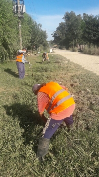 Limpieza de zanjas en Lozano y República