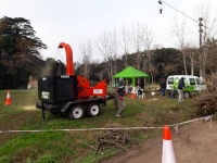 Chipeado de ramas y jornada ambiental en La Capilla