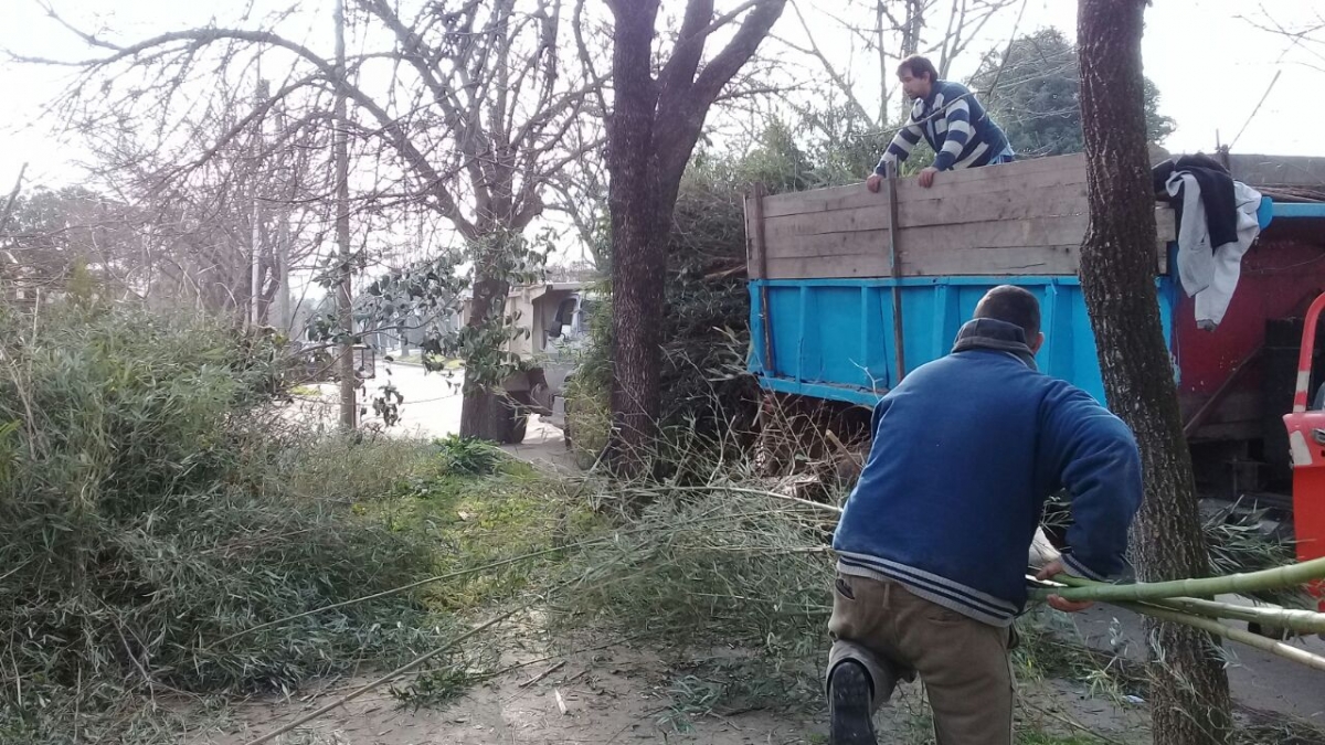 Limpieza integral en el casco urbano