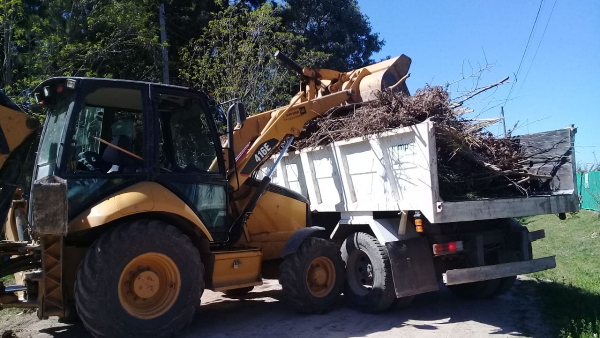 Jornada ambiental y de chipeo de ramas en Santa Marta