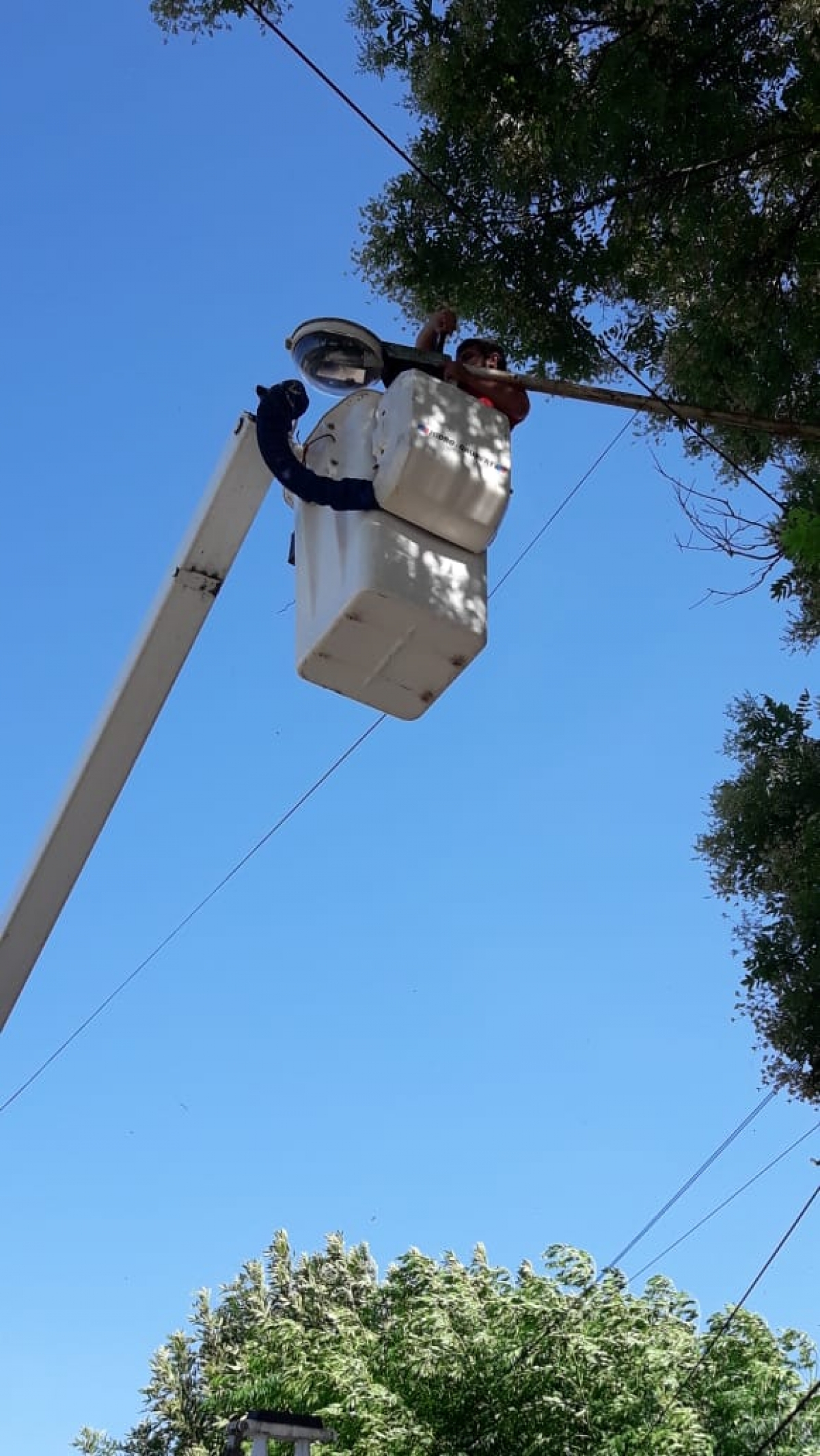 Reparación de luminarias en las calles D&#039;Agnillo y Aristóbulo del Valle