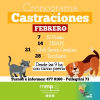 Cronograma de castraciones