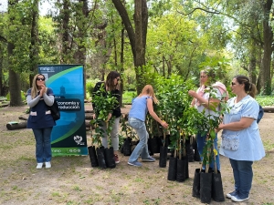 Entrega de árboles a establecimientos educativos