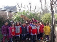 Visita del Jardín 905 al Museo de Ciencias Naturales