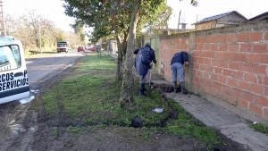 Servicios Sanitarios