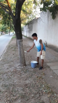 Pintura de árboles en la calle Piedras