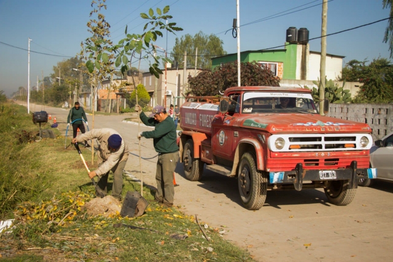 Comenzó el Plan forestal 2023