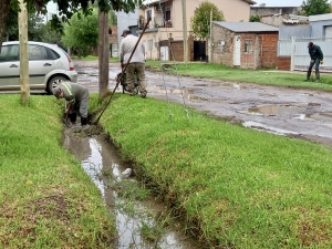 Trabajos de limpieza