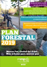 PLAN FORESTAL 2019