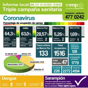 213° INFORME TRIPLE CAMPAÑA SANITARIA.