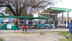 Feria Municipal