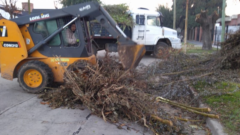 Recolección de ramas en el casco urbano