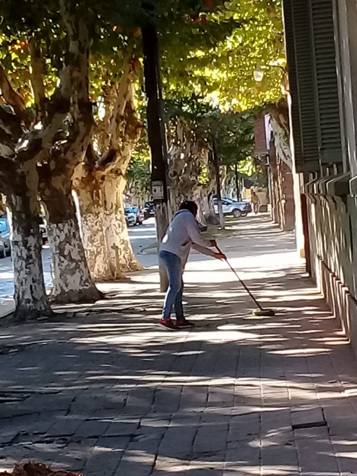 &quot;Vuelta al Cole&quot;: barrido y corte de pasto en la Escuela N°1