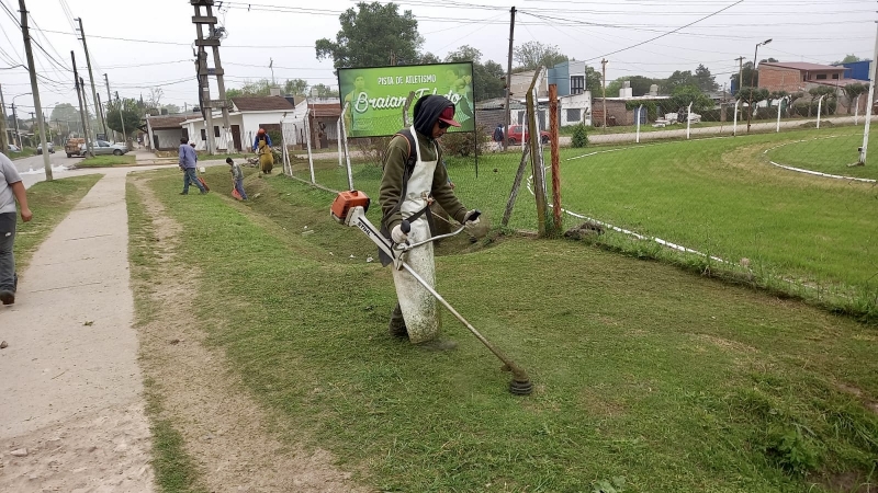 Trabajos de desmalezamiento