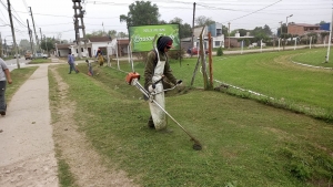 Trabajos de desmalezamiento