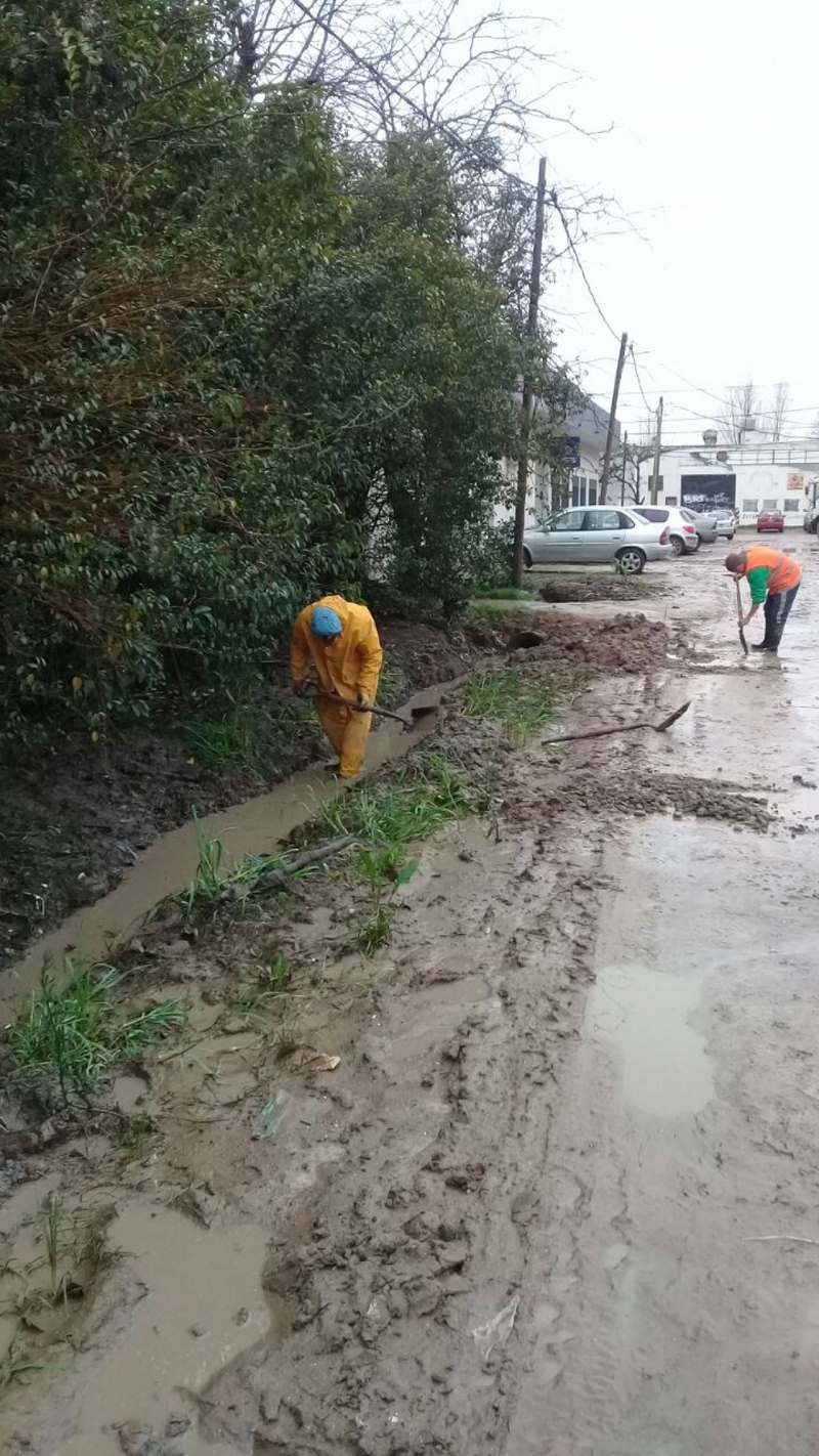 Zanjeo e instalación de cámara pluvial en Pellegrinio y Libertad