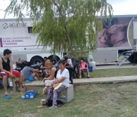 Castraciones de mascotas en el barrio Bicentenario