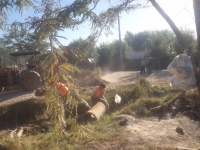 Reparación del cruce de Lozano y Crucero Gral Belgrano