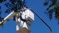 Obras de luminarias sobre Avellaneda