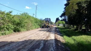 Trabajos de nivelado y entoscado