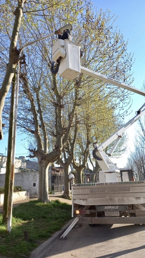 Recambio de luminarias