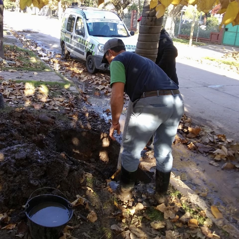 Servicios Sanitarios