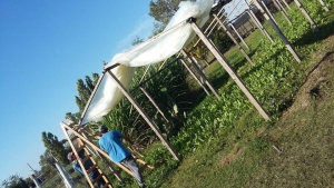 Huerta Orgánica Municipal &quot;La Esperanza&quot;