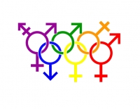 Diversidad Sexual