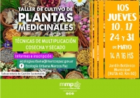 Taller de Cultivo de Plantas Medicinales