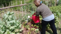 Continúa el Taller de Huerta Orgánica en el Jardín Botánico