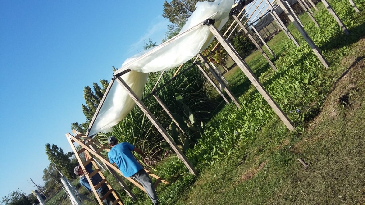 Jornada de trabajo en la Huerta Municipal &quot;La Esperanza&quot;