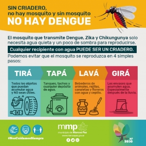 Sin criadero, no hay mosquito y sin mosquito NO HAY DENGUE