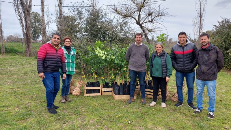 Entrega de árboles frutales