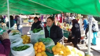 La Feria Municipal recorre los barrios