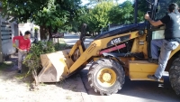 Trabajos de recolección en El Palenque