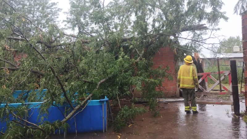 Intenso trabajo de diferentes áreas del Municipio por el temporal