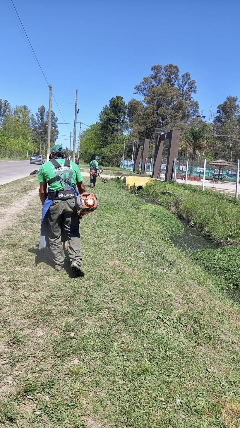 Trabajos de desmalezamiento