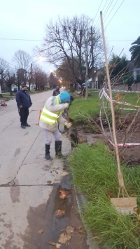 Limpieza y mantenimiento de bocas de tormenta y puntos criticos en zona urbana.