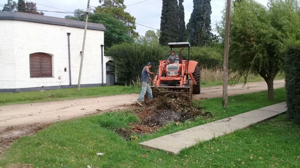 Recolección de ramas en el casco urbano