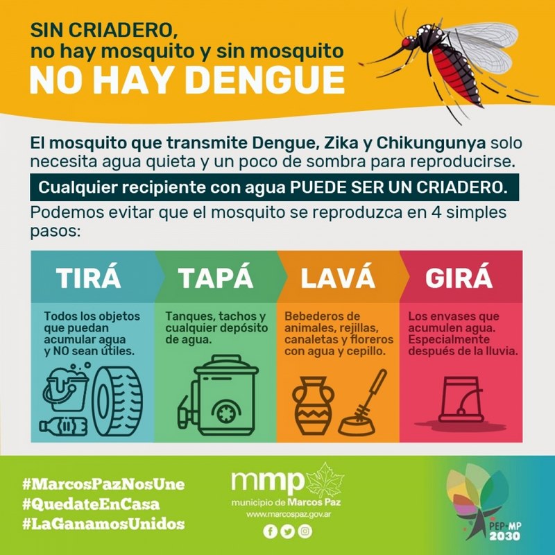 SIN CRIADERO, NO HAY DENGUE