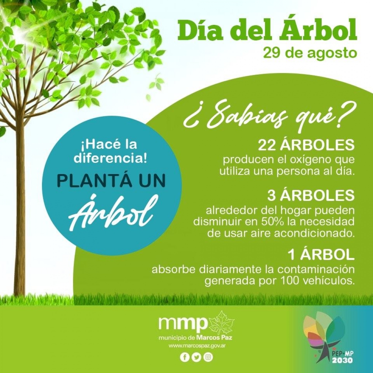 29 de agosto • Día del Árbol